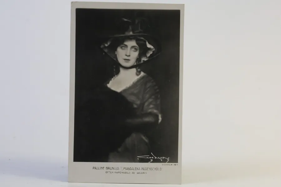 HENRY B GOODWIN. PAULINE BRUNIUS.