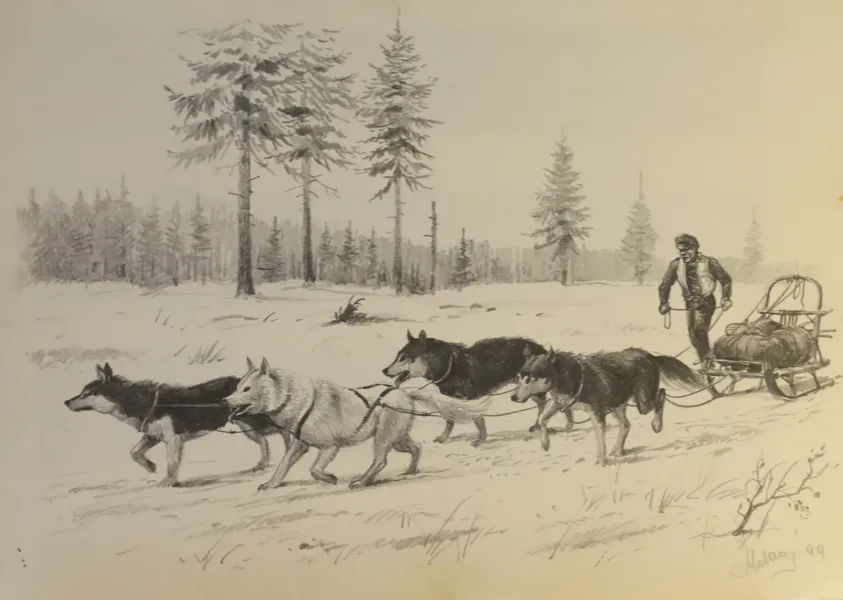Skiss i blyerts. Hundspann.