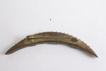 Antik mikromosaikbrosch, Italien, ca 1800-talets slut.