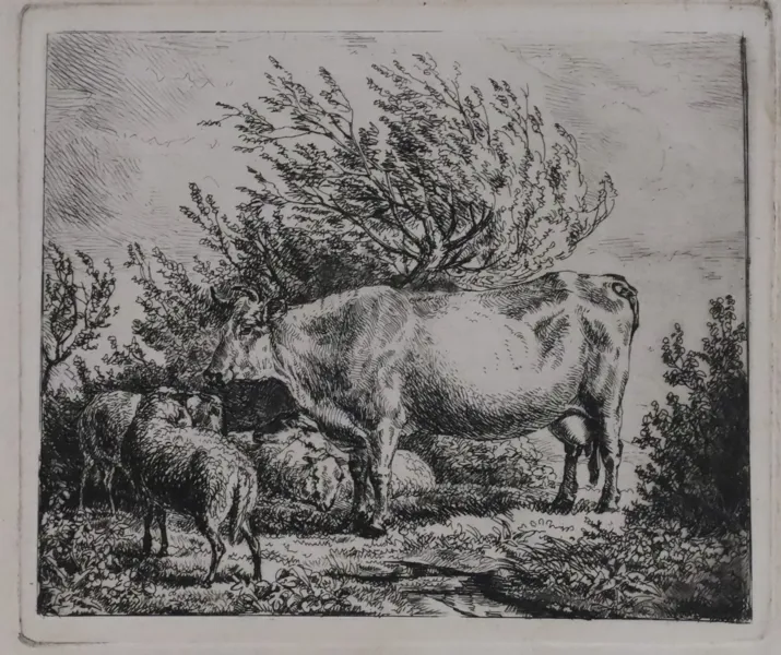Adriaen van de Velde (1636–1672), Cow and Two Sheep, 1670, etsning.