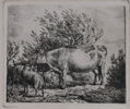 Adriaen van de Velde (1636–1672), Cow and Two Sheep, 1670, etsning.