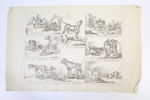 TYSK SKOLA, 1700-TAL. Hundraser, zoologiskt samlingsblad, kopparstick.